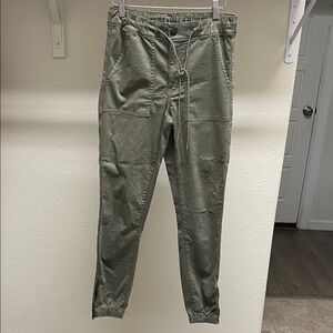 American Eagle Outfitters Olive Green Jogger Pants